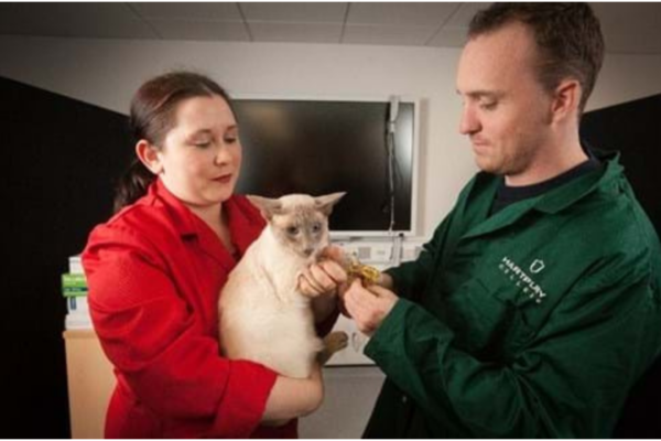 Animal - Welfare assessment