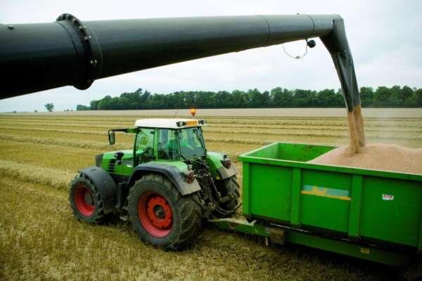 Subject Taster Day: Agriculture, Food and Environment 